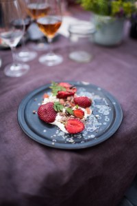 Stedsans Copenhagen Farm to Table Restaurant The Better Places