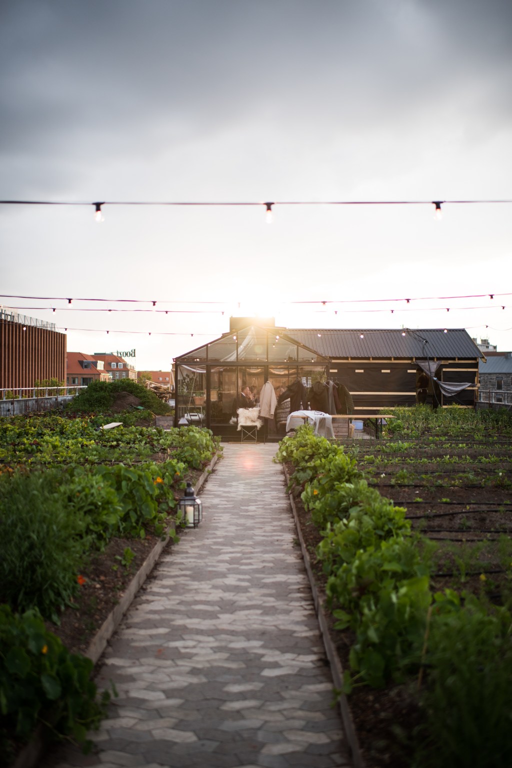 THIS ROOFTOP IS BETTER THAN YOURS: STEDSANS IN COPENHAGEN