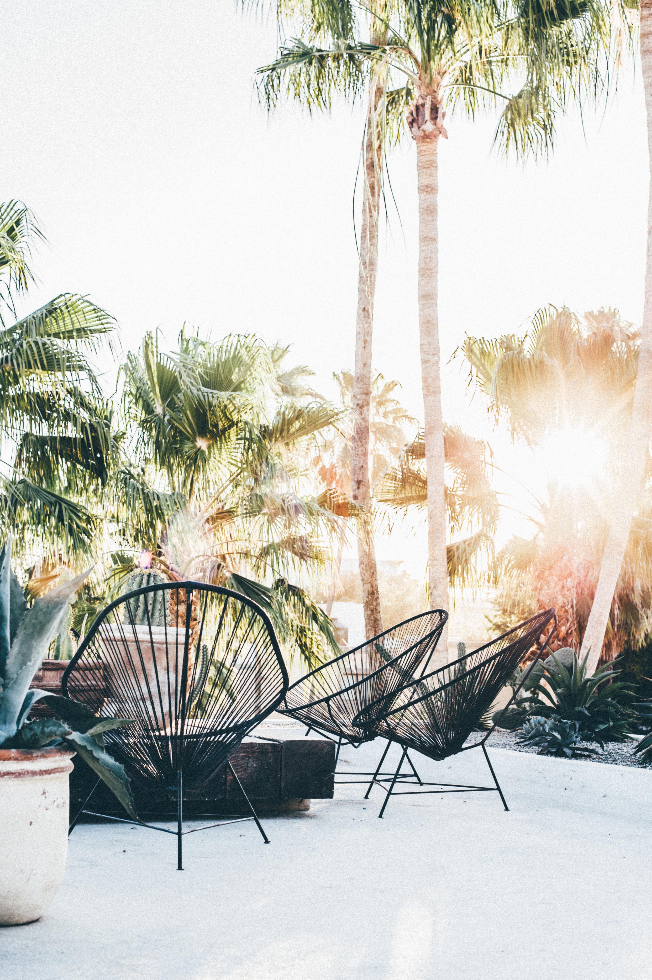 inside-elsewhere-san-jose-del-cabo-36_25758434213_o