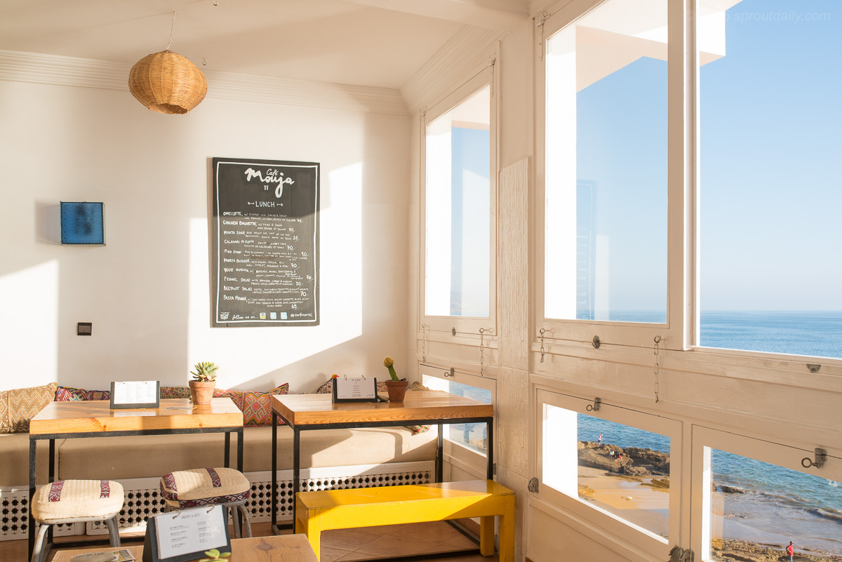 mfsprout_20150929_332