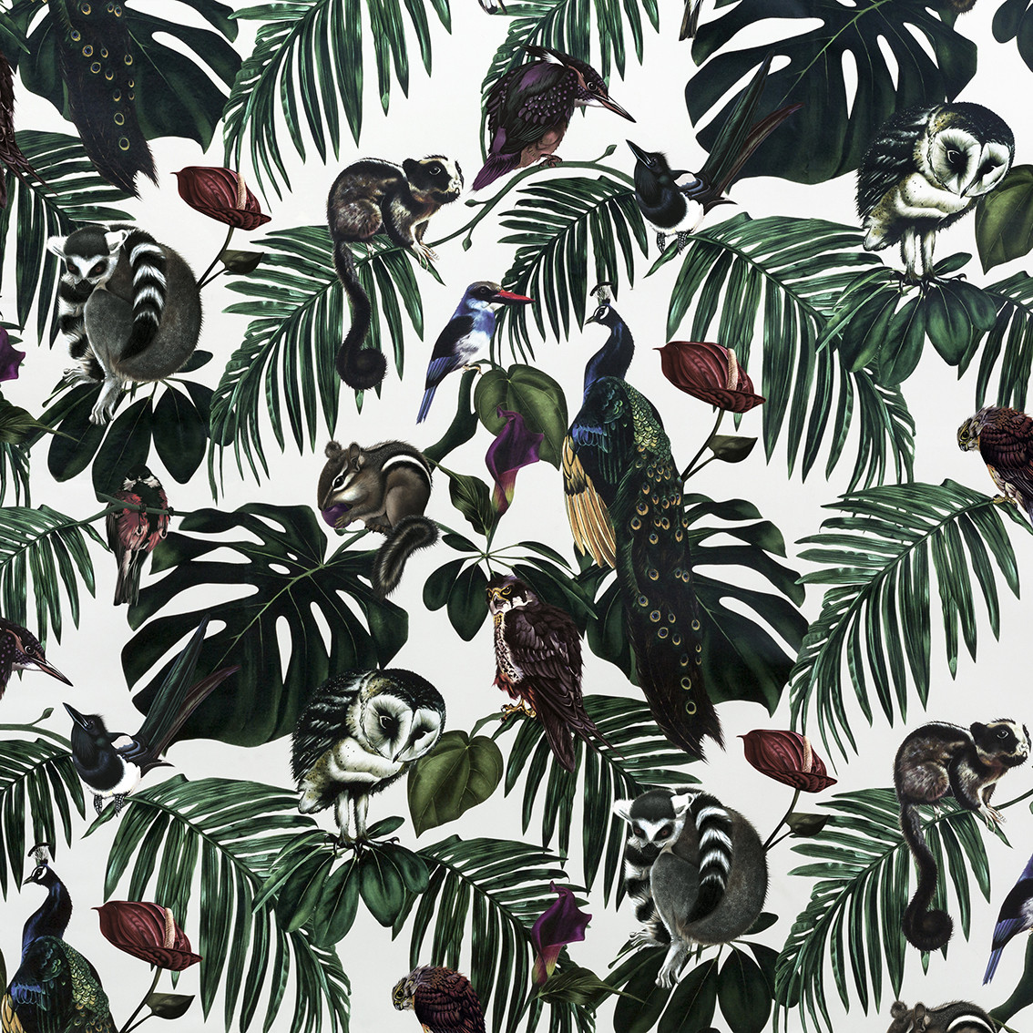 The Better Places Witch and Watchman Wallpaper.jpg