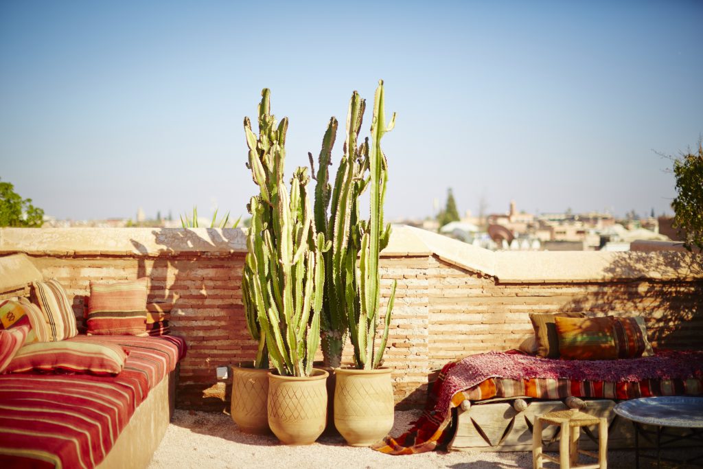24 hours in Marrakech