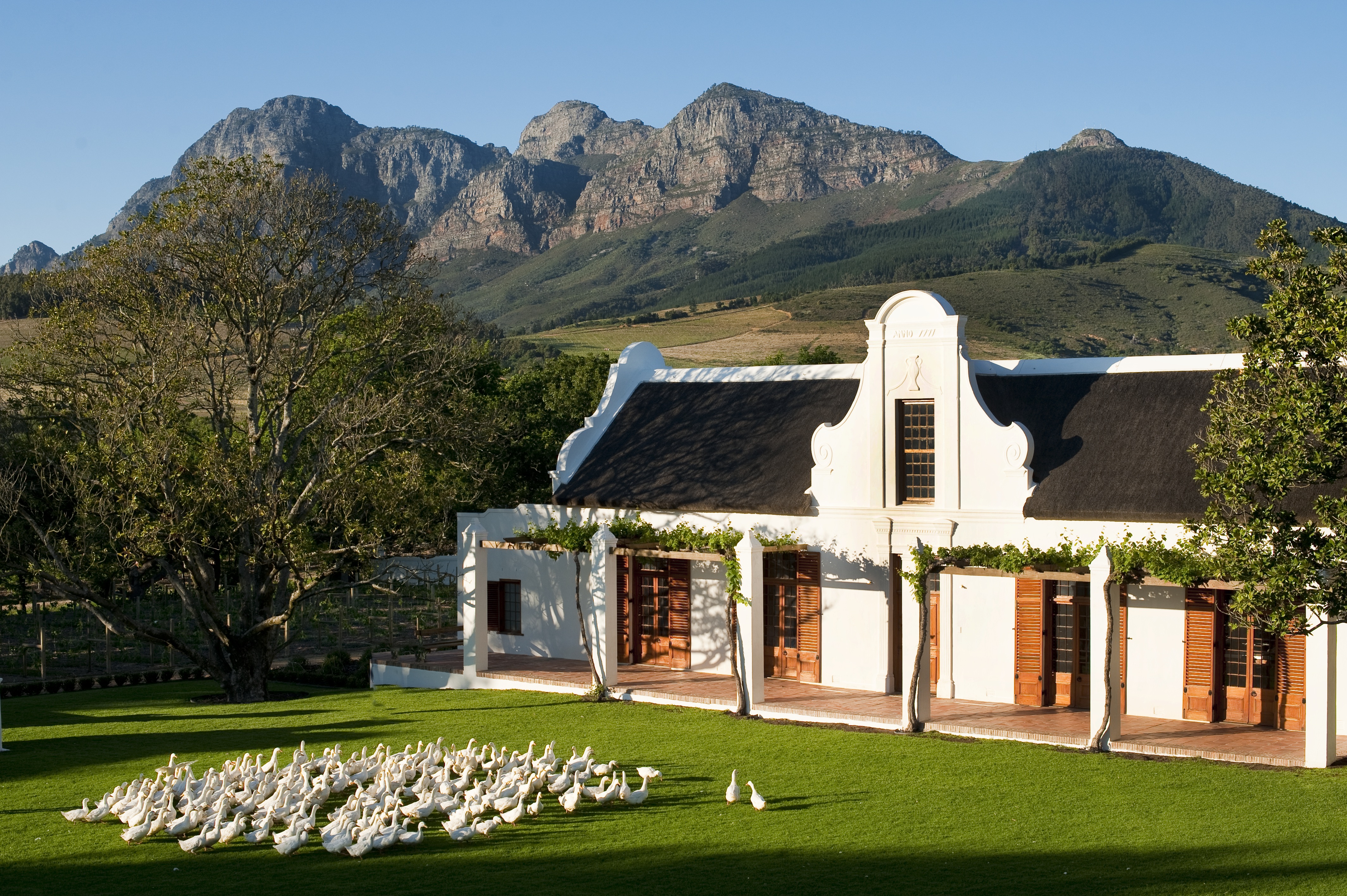 The Better Places Wedding locations that are worth the travel Cape Town South Africa Babylonstoren