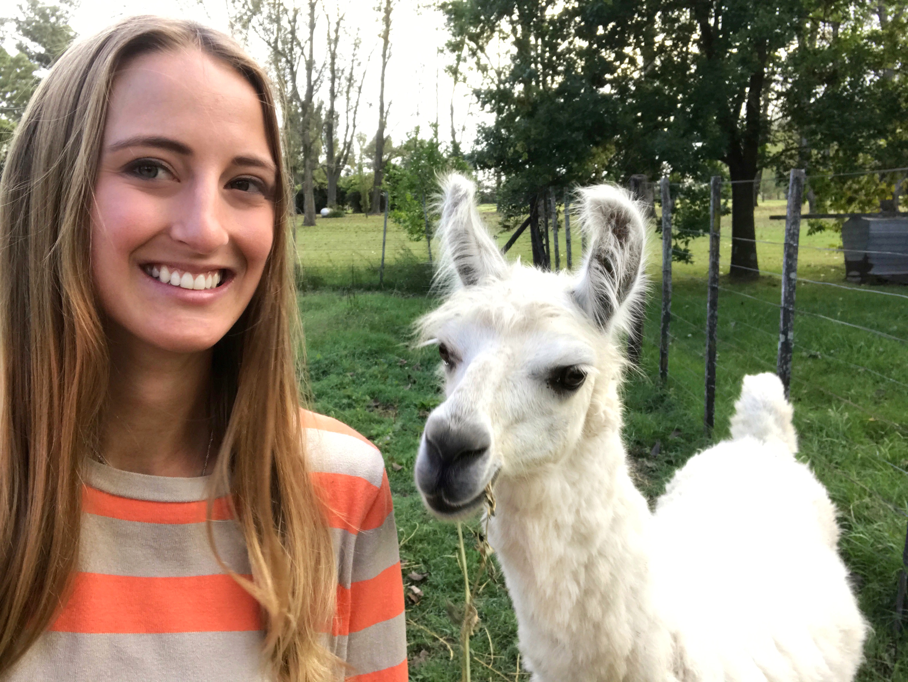 Llama_selfie_thebetterplaces.jpg