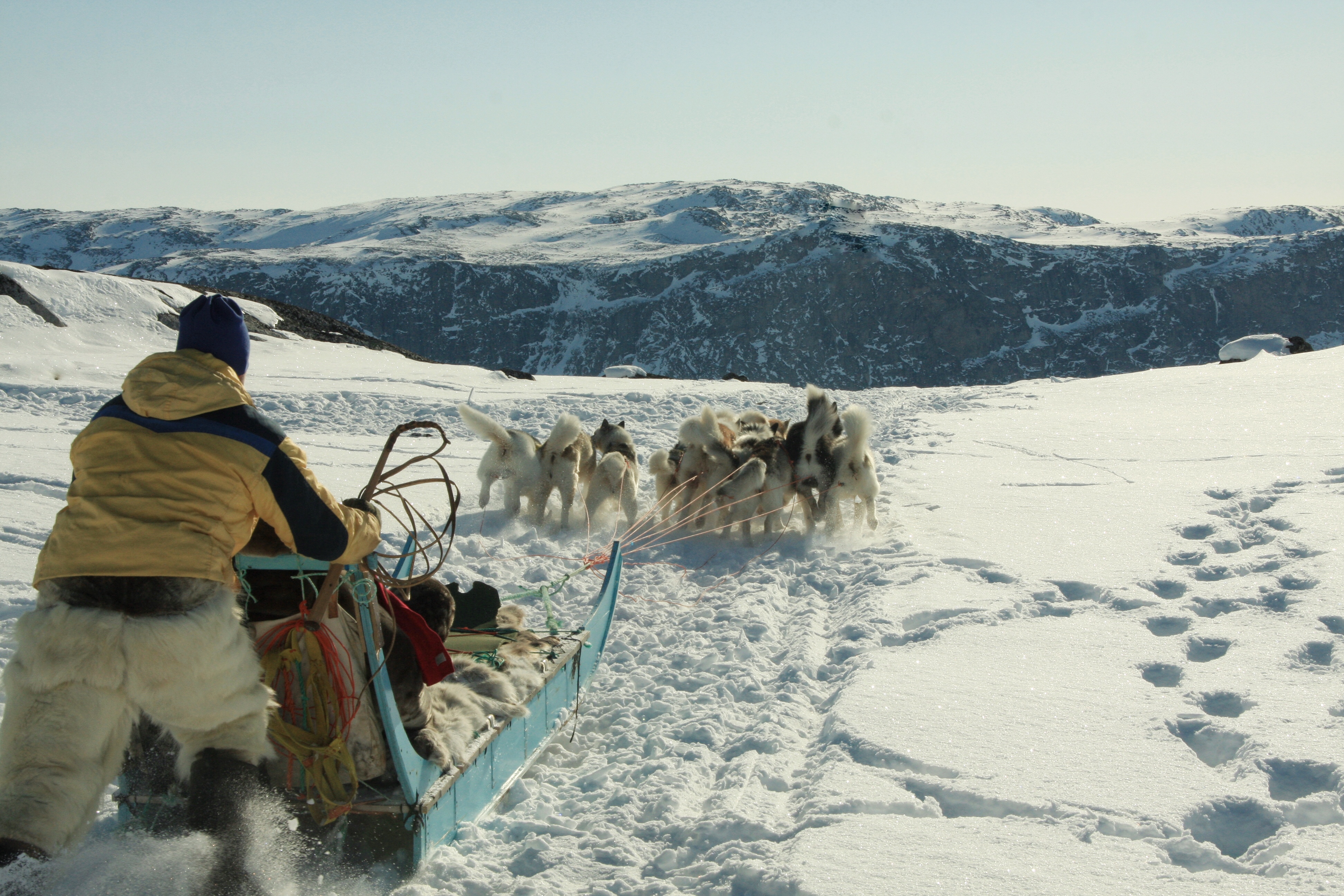 greenland_thebetterplaces_dogsledge_motion.jpg