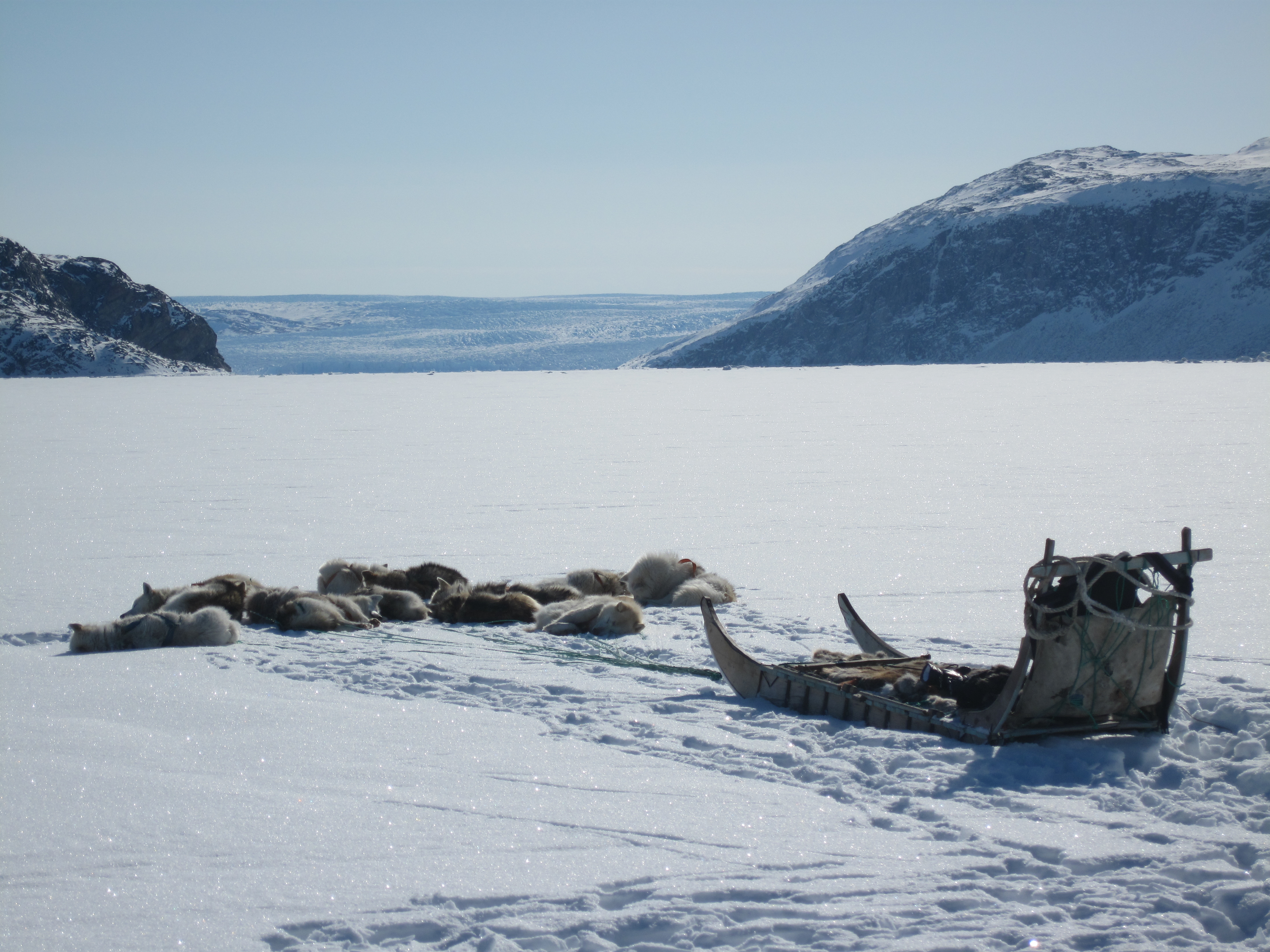 Grönland 4.2010 helena 404.JPG