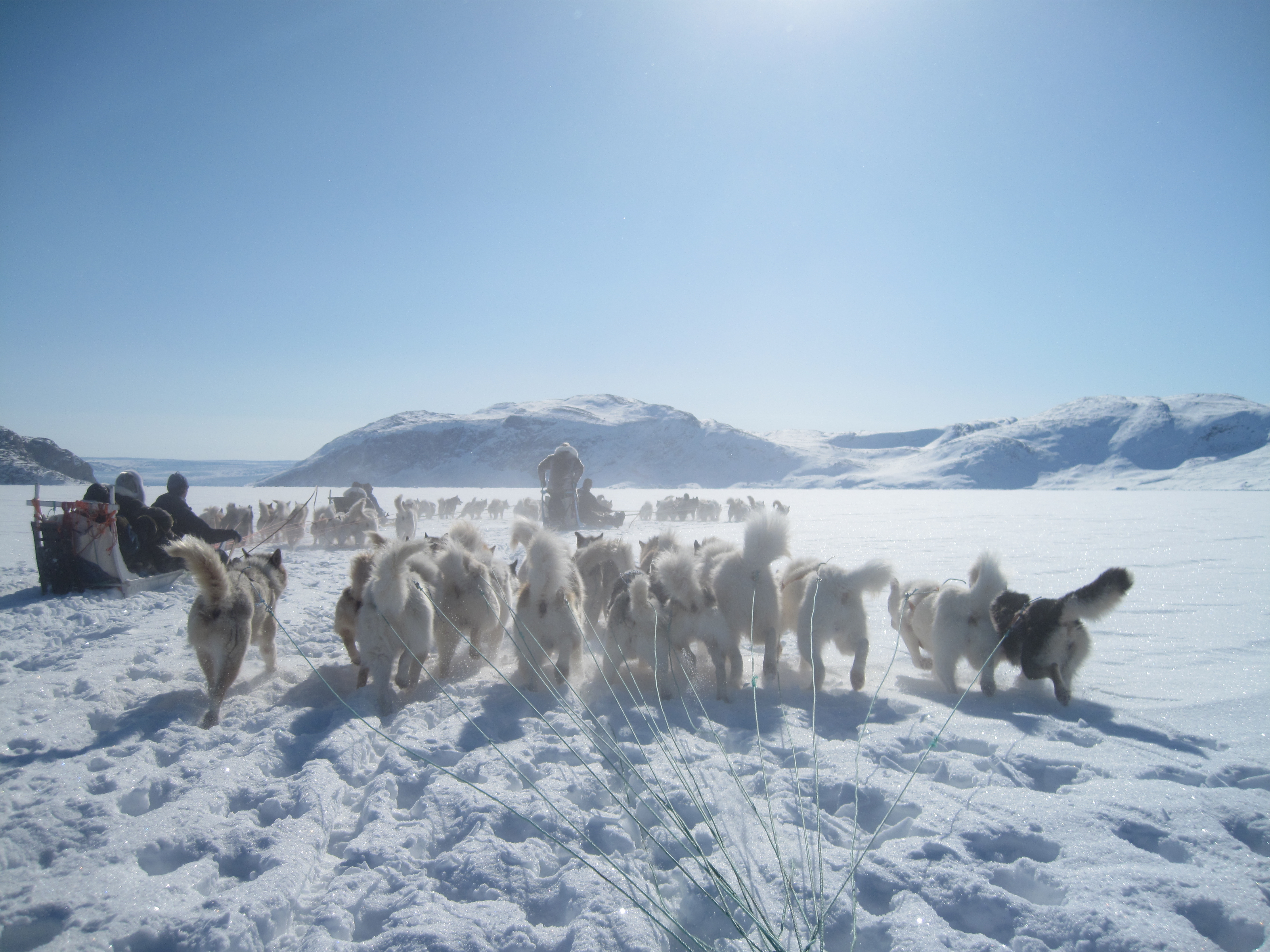 Grönland 4.2010 helena 409.JPG