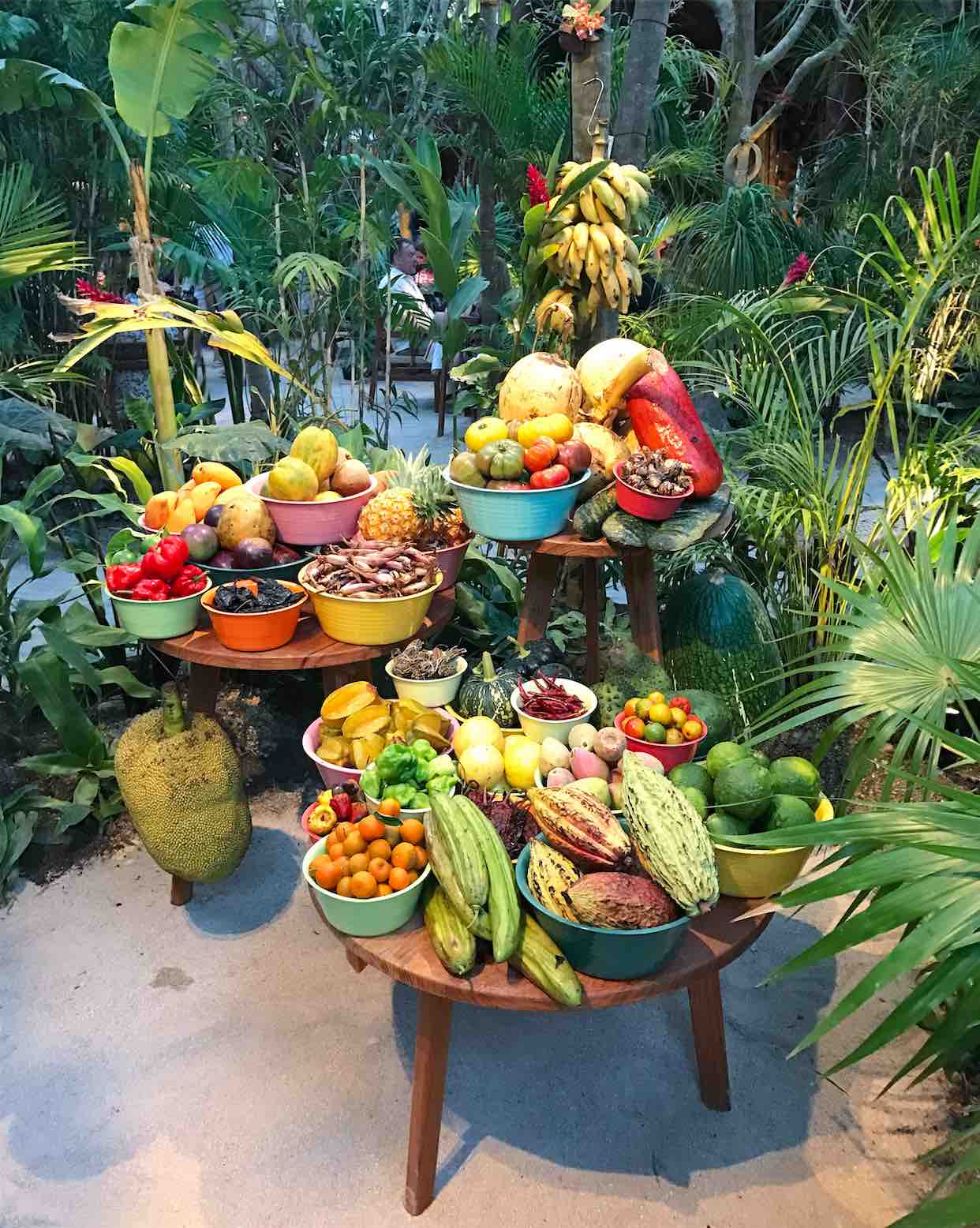 noma-restaurant-pop-up-tulum-mexico-chef-rene-redzepi-the-better-places-chilies-chocolate-dessert