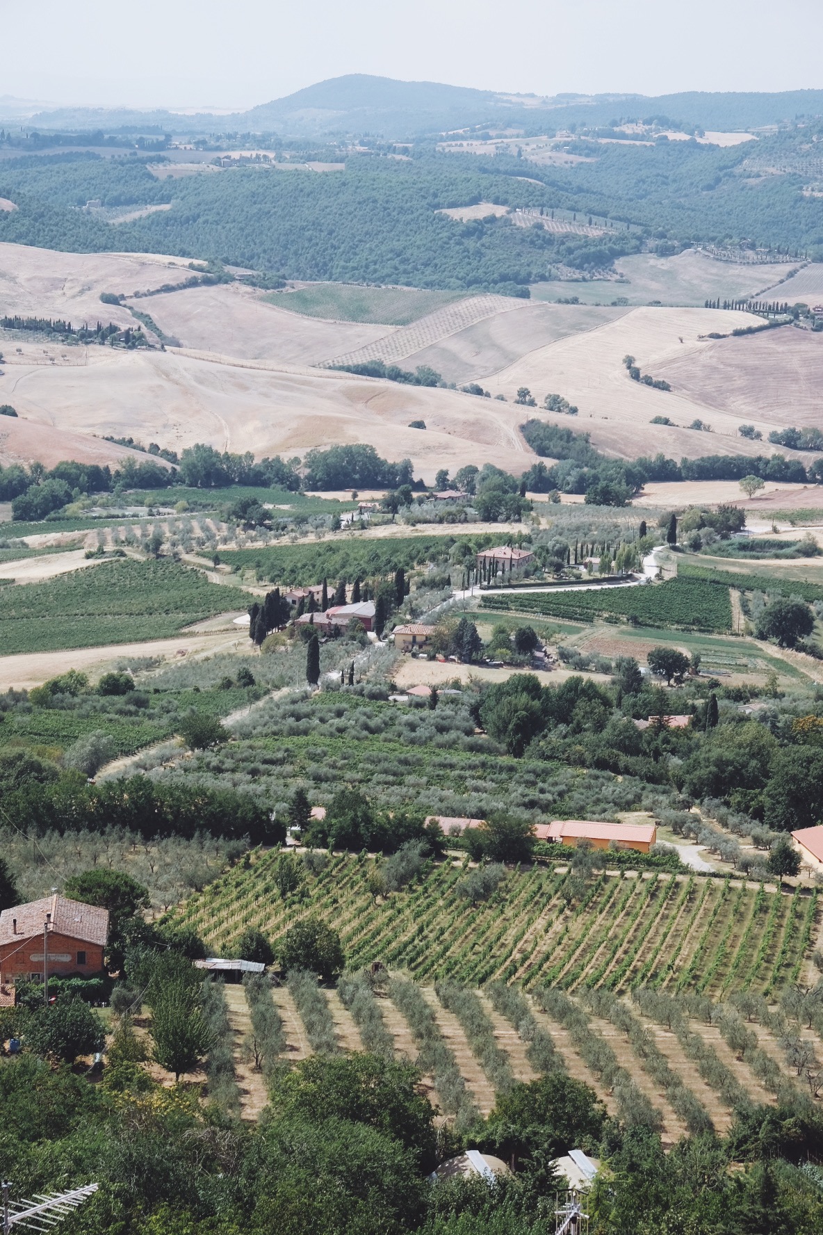 Processed with VSCO with a9 preset