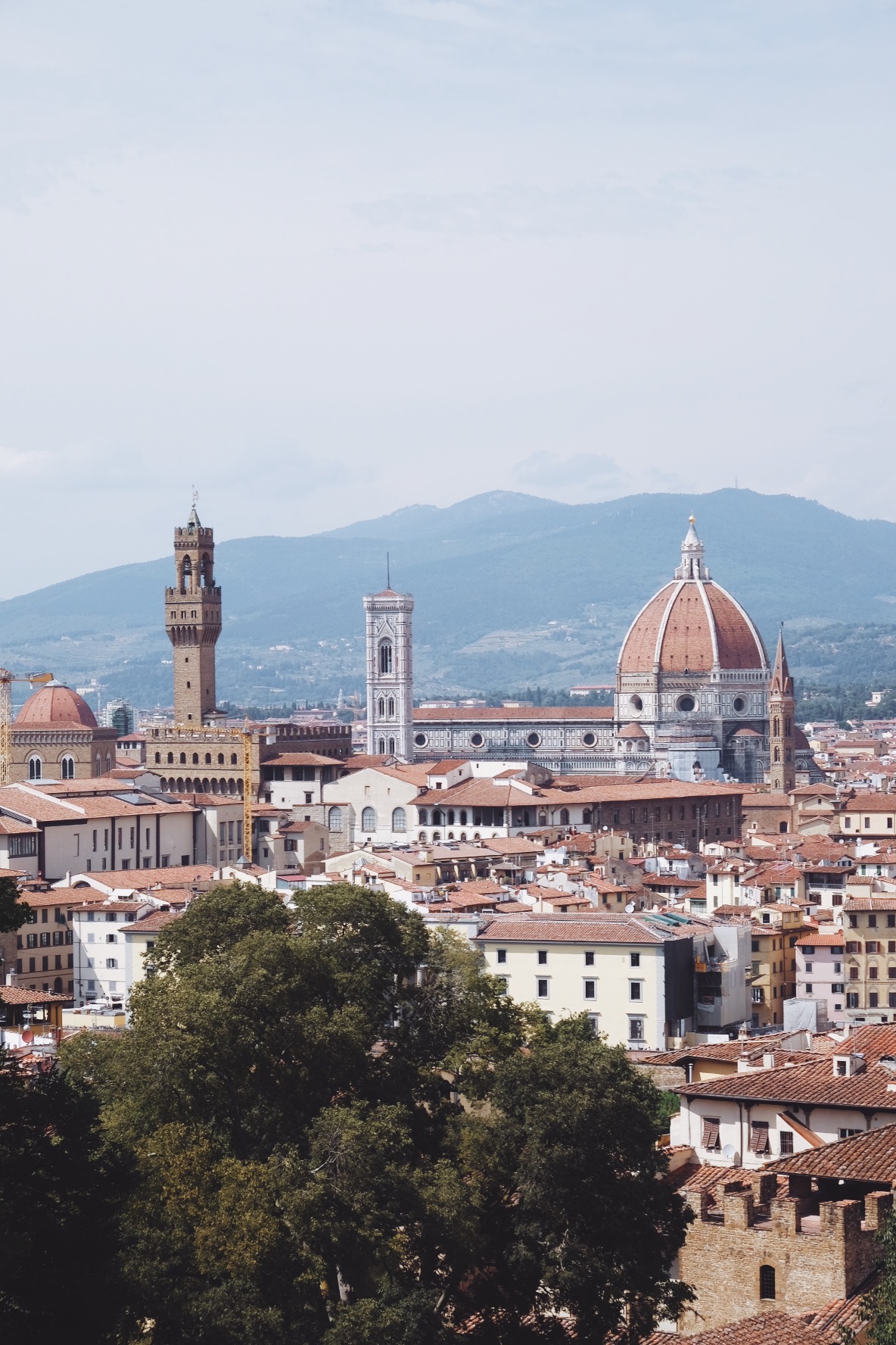 Processed with VSCO with a9 preset