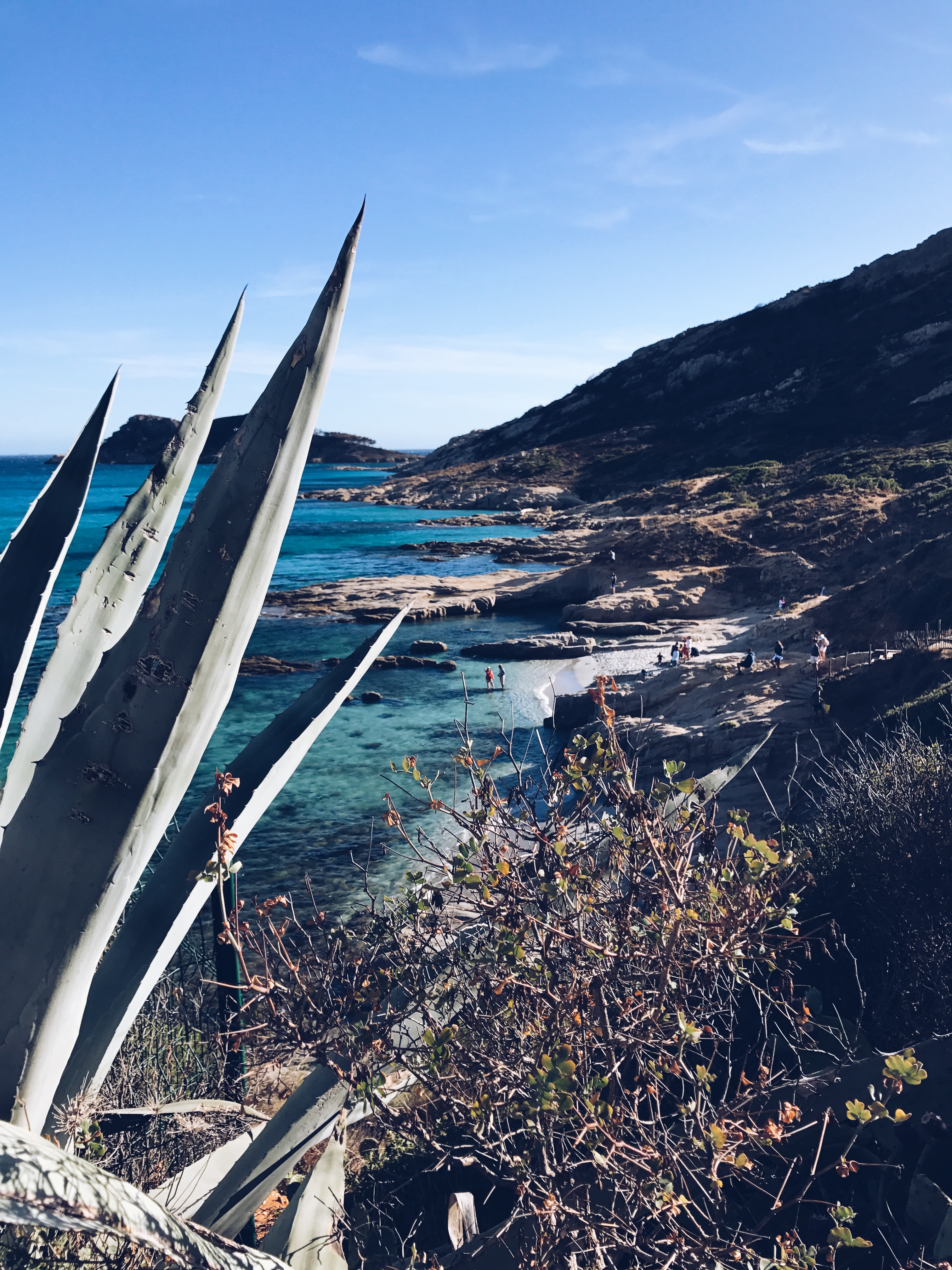 Processed with VSCO with a5 preset