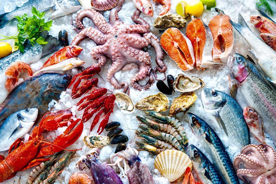 NEW RESTAURANT IN BERLIN: FUNKY&nbsp;FISCH